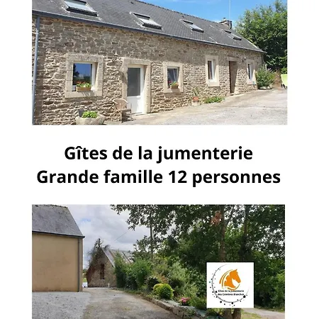 De La Jumenterie Des Crinières Blanches 3 *